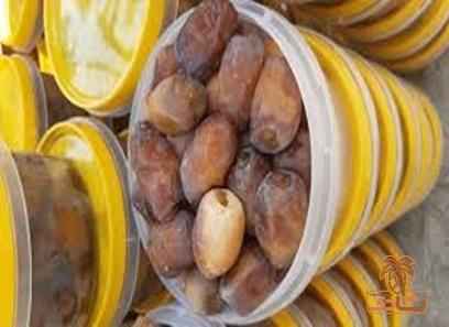 خرما سطلی چیست؟ + قیمت خرید خرما سطلی